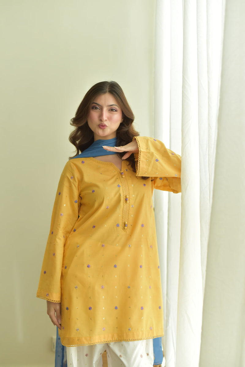 Nisha 3pc Embroidered Dress(Farshi Shalwar)