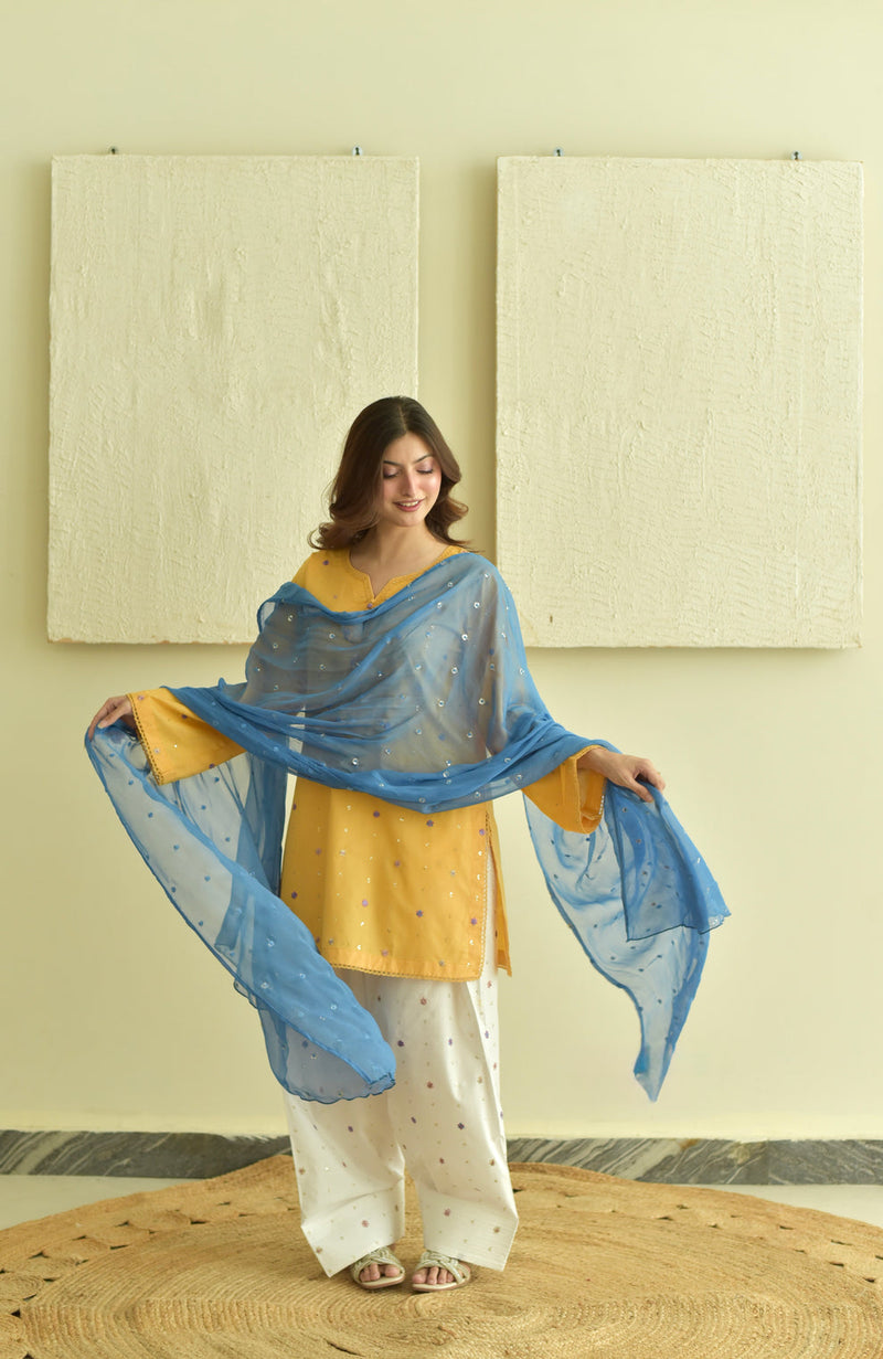 Nisha 3pc Embroidered Dress(Farshi Shalwar)